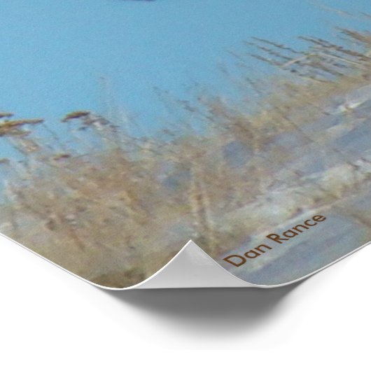 E62 Bull Elk Sky Lined Poster (Ecke)