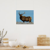 E62 Bull Elk Sky Lined Poster (Küche)