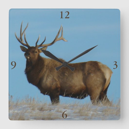 E62 Bull Elk Sky Lined Quadratische Wanduhr (Vorderseite)