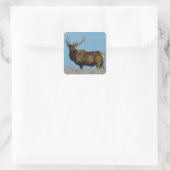 E62 Bull Elk Sky Lined Quadratischer Aufkleber (Tasche)