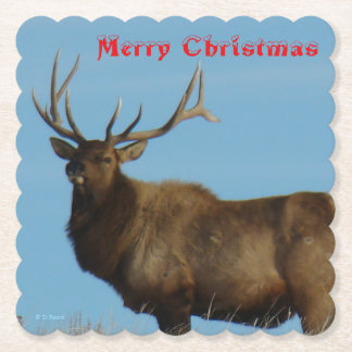 E62 Bull Elk und Blue Sky Untersetzer