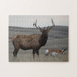 E63 Bull-Elch und Gabelbock-Antilope Puzzle