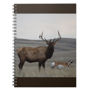 E63 Bull-Elch und Pronghorn-Antilopenbock Notizblock