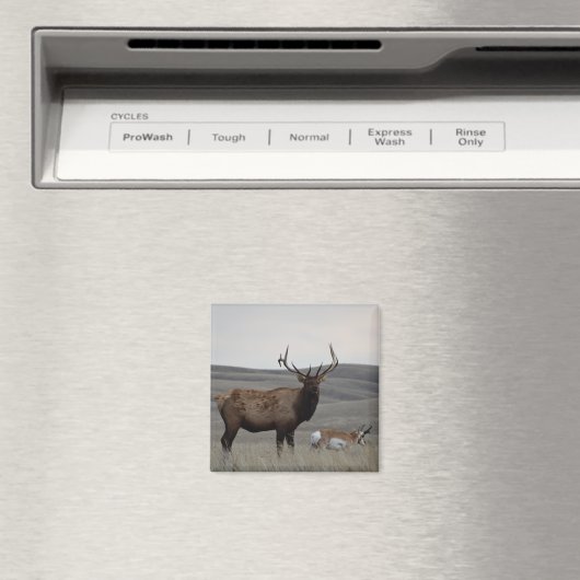 E63 Bull Elk and Pronghorn Antelope Magnet (In Situ (Geschirrspüler))