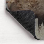 E63 Bull Elk and Pronghorn Antelope Mousepad (Ecke)