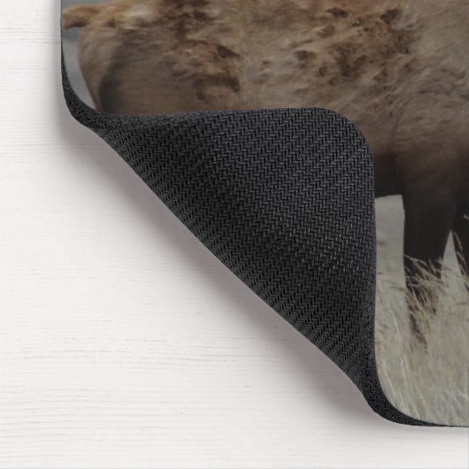 E63 Bull Elk and Pronghorn Antelope Mousepad (Ecke)