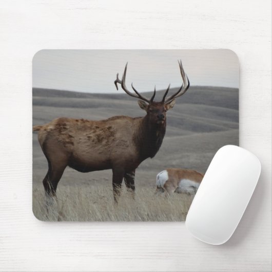 E63 Bull Elk and Pronghorn Antelope Mousepad (Mit Mouse)