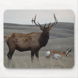 E63 Bull Elk and Pronghorn Antelope Mousepad