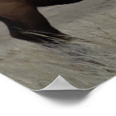 E63 Bull Elk and Pronghorn Antelope Poster (Ecke)