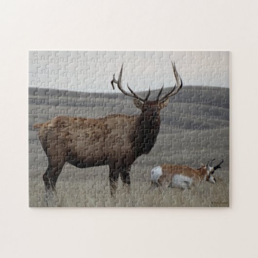E63 Bull Elk and Pronghorn Antelope Puzzle (Horizontal)