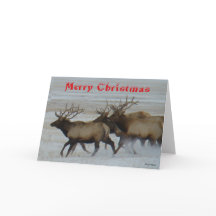 E64  Bull Elk Running Christmas Card