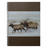 E64 Bullklee läuft im Schnee Notizblock (Vorderseite)