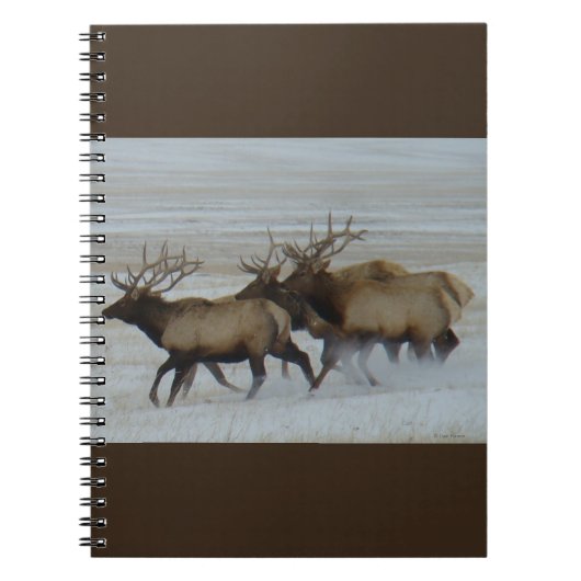 E64 Bullklee läuft im Schnee Notizblock (Vorderseite)