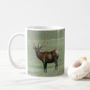 E65 Bull Elk Muddy Bull in Velvet Kaffeetasse