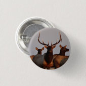 E66 Bull Elk and Cows Button (Vorne & Hinten)