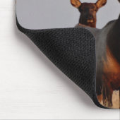E66 Bull Elk and Cows Mousepad (Ecke)
