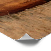 E66 Bull Elk and Cows Poster (Ecke)