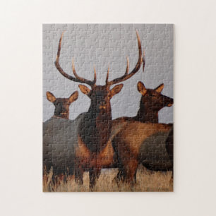E66 Bull Elk and Cows Puzzle