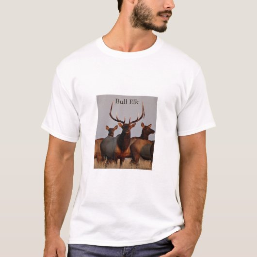 E66 Bull Elk and Cows T-Shirt (Vorderseite)