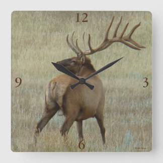 E6 Bull Elk in Velvet Quadratische Wanduhr