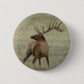 E6 Bullenelch in Velvet Button (Vorderseite)