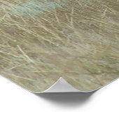 E6 Bullenelch in Velvet Poster (Ecke)