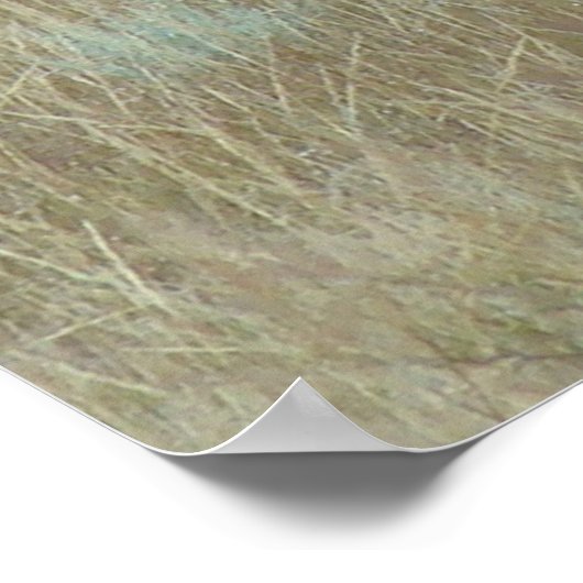 E6 Bullenelch in Velvet Poster (Ecke)