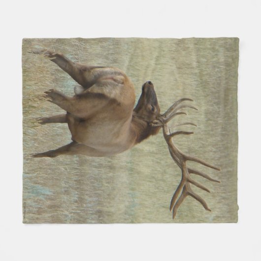 E6 Stier Elche im Samt Fleecedecke (Vorderseite (Horizontal))