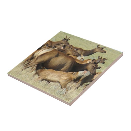 E7 Kuh Fütternd Kalk Elch Fliese (Seite)