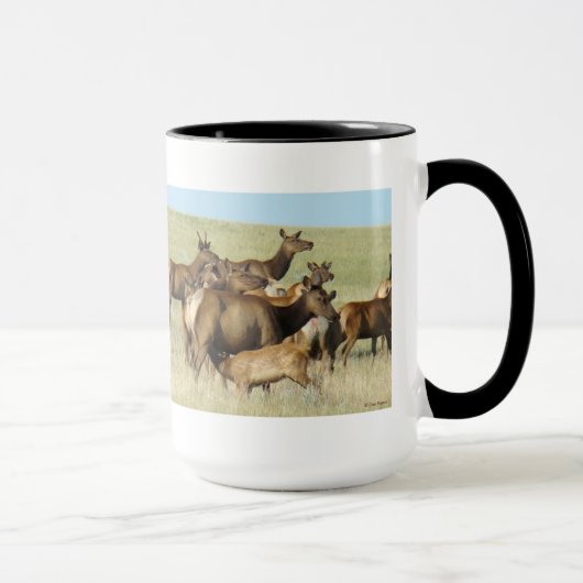 E7 KuhElch Fütternd Kalb Tasse (Rechts)