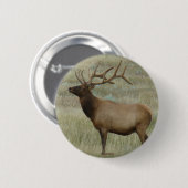 E8 Bull-Elch in Samt Button (Vorne & Hinten)