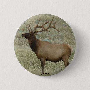E8 Bull-Elch in Samt Button