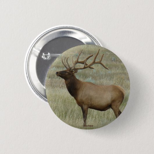 E8 Bullenelch in Velvet Button (Vorne & Hinten)