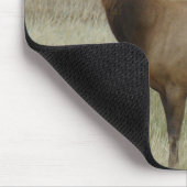 E8 Bullenelch in Velvet Mousepad (Ecke)