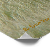 E8 Bullenelch in Velvet Poster (Ecke)