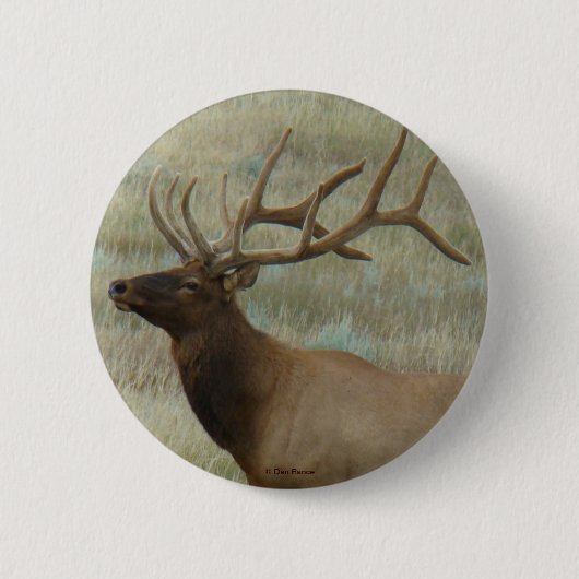E9 Bull-Elch in Samt Button (Vorderseite)