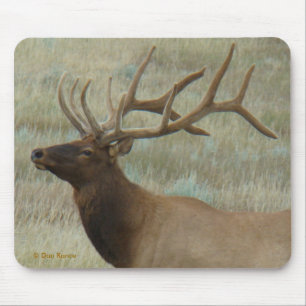 E9 Bull Elk in Samt Kopf und Schultern Mousepad