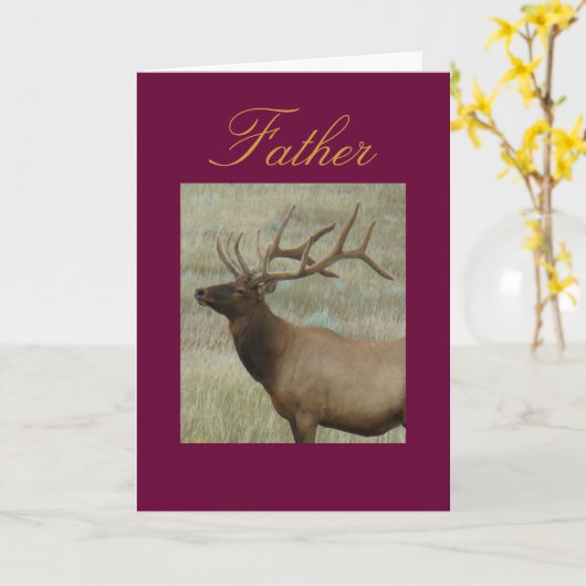 E9 BullElch in Samt Kopf und Schultern Karte (Gelbe Blume)