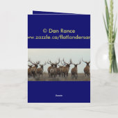 E9 BullElch in Velvet Karte (Rückseite)