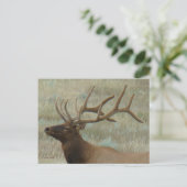 E9 Bullklee in Velvet Kopf Shootprofil Postkarte (Stehend Vorderseite)