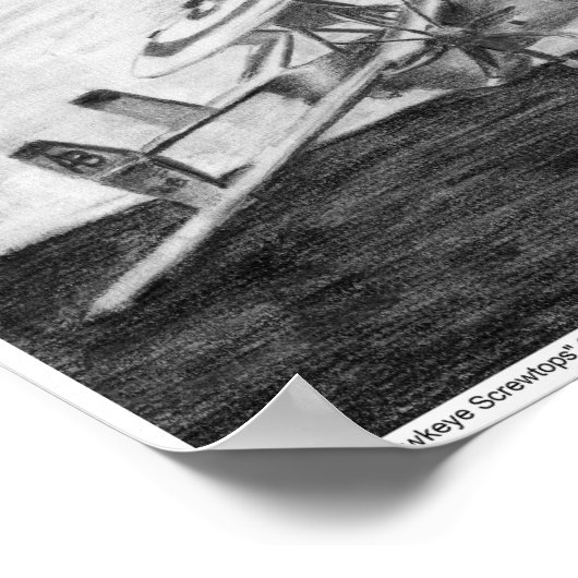 E-2C Hawkeye (Screwtops) Kunstdruck Poster (Ecke)