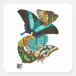 E.A. Séguy Vintag Butterflies Illustration Quadratischer Aufkleber