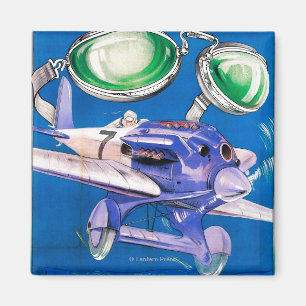 E.B. Meyrowitz Fliegen-Schutzbrillen-Anzeige Magnet