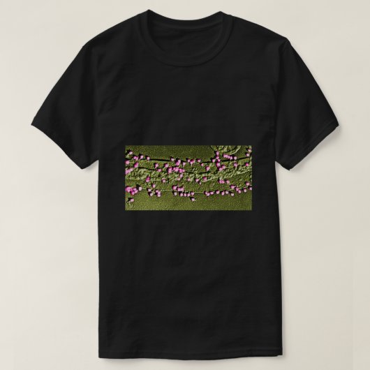 E Coli Zellwand mit Bakteriophilie 1 T-Shirt (Design vorne)