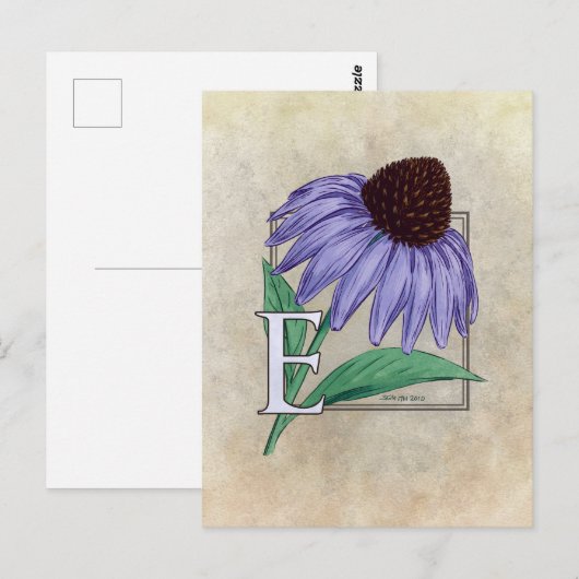 E für Monogramm-Karten der Echinacea-Blume Postkarte (Vorne/Hinten)