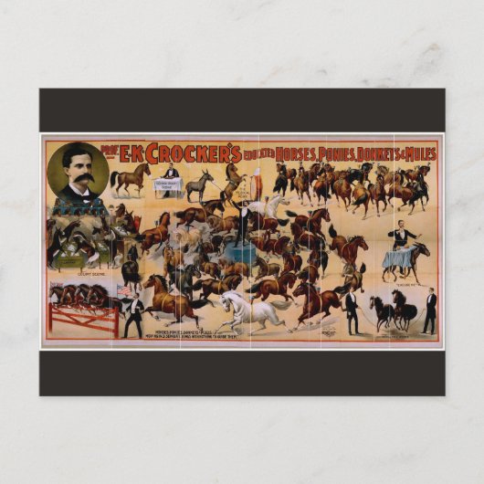 E.K.Crocker's Postkarte (Vorderseite)