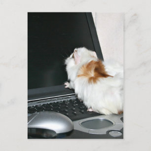 E-Mail an mich! Postkarte