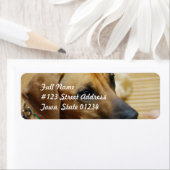 E-Mail-Label-Vorlage 2 - Benutzerdefiniert (Insitu)