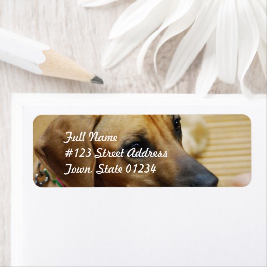 E-Mail-Label-Vorlage 2 - Benutzerdefiniert (Insitu)