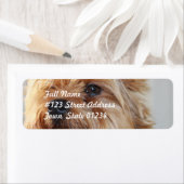 E-Mail-Label-Vorlage 2 - Benutzerdefiniert (Insitu)